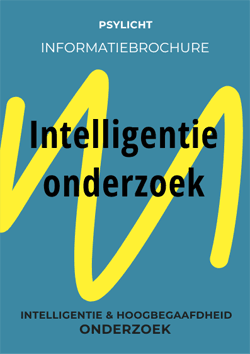 Intelligentieonderzoek
