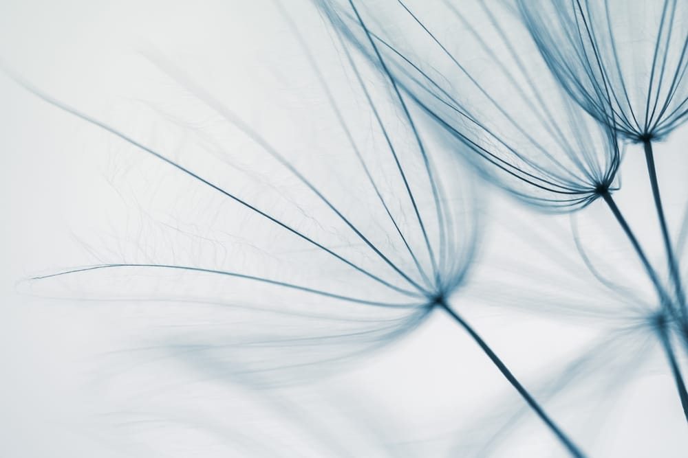 emdr zonder verwijzing